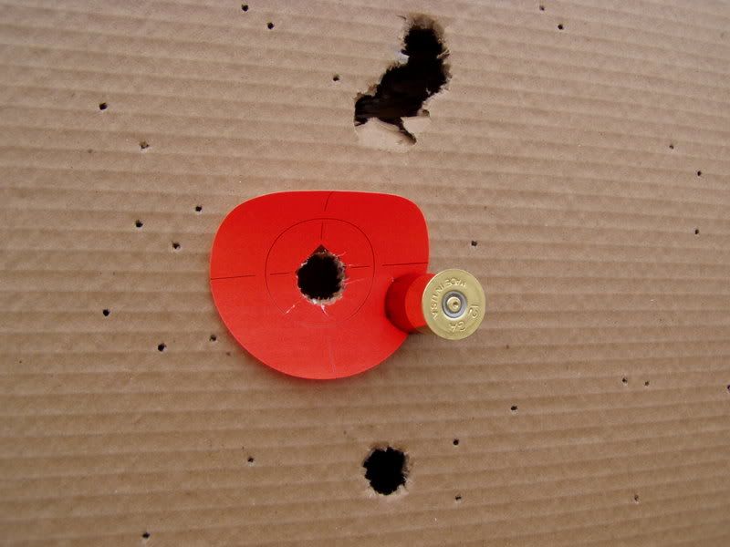 Slugs threw bird barrels Shotgun Forum